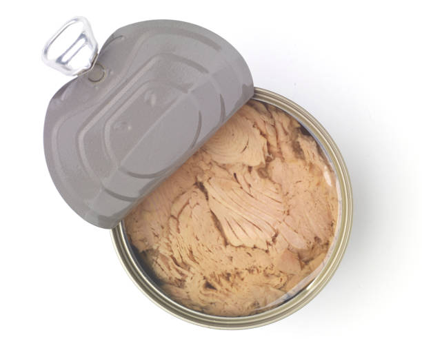 istock Canned soy free albacore white meat tuna packed in water 667296896