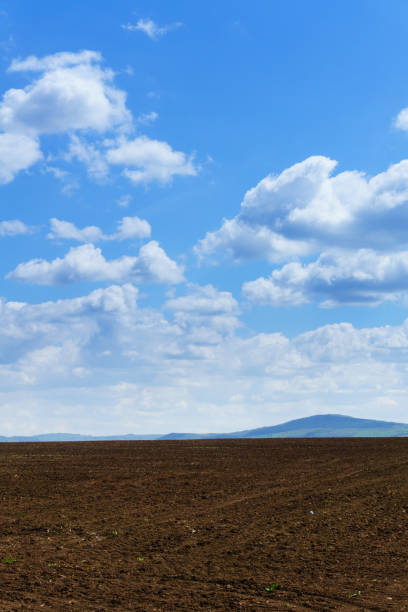 istock Bright sunny spring day with large clouds over Cultivated field 667296926