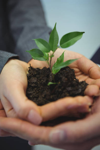istock Businesspeople hand holding plant together 667297138