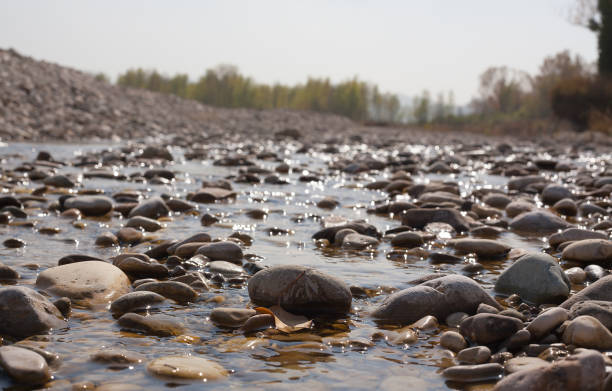 River stones in the water of a small mountain stream.