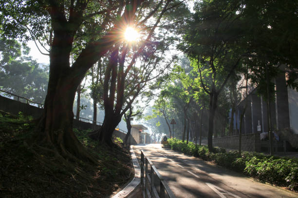 istock Landscape shot with the gold sun ray 667305296