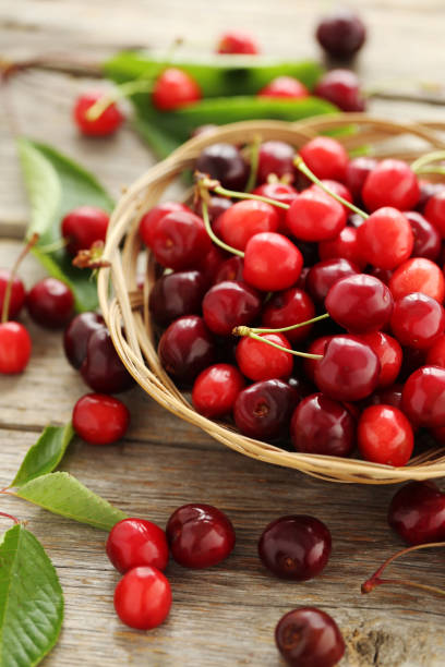 istock Ripe cherries in basket on a grey wooden table 667311478