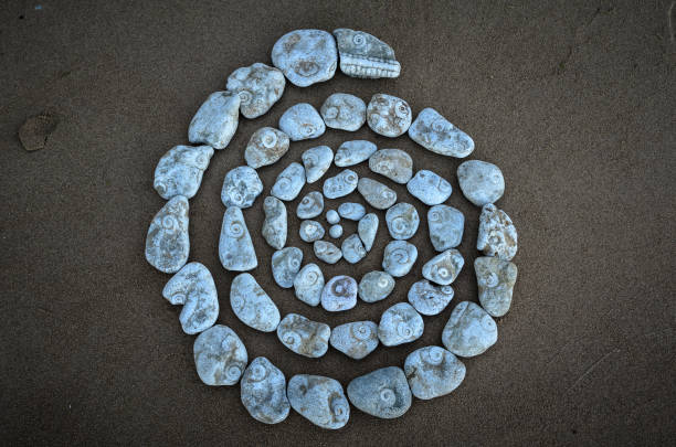 The shape of a spiral in the sand (black/white)