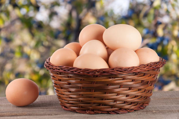 istock eggs on a wooden table in a wicker basket with blurred garden background 667316322