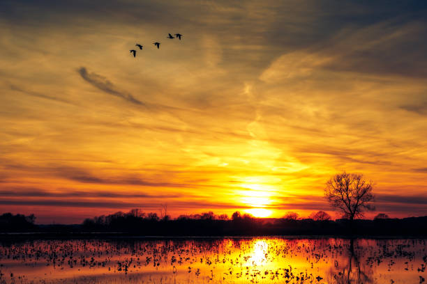 istock Beautiful colorful sky at sunset on the lake. 667319372