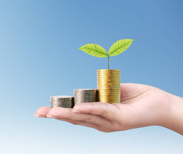 istock money growing from coins in hand 667319998
