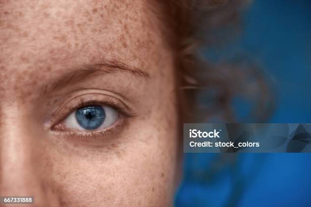 Blue Eye Macro Stock Photo - Download Image Now - Blue, Blue Eyes, Close-up