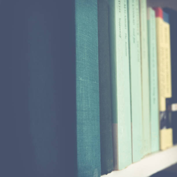 istock Vintage Books on a Bookshelf in a Library 667332960