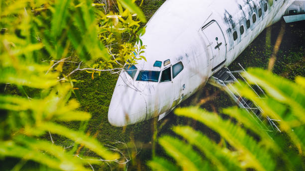 istock Abandoned aircraft between leaves, Bali, Indonesia 667335816