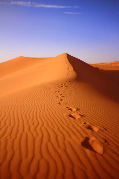 istock desert in sahara in morocco 667336900