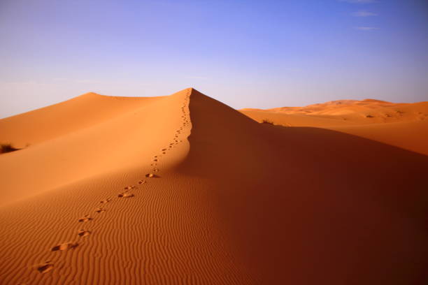 istock desert in sahara in morocco 667336948