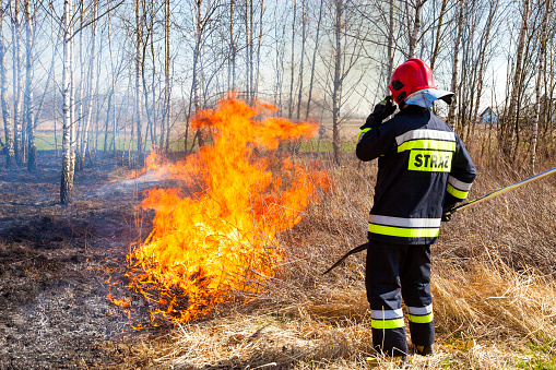 Firefighter put out the fire grass in the field. Fire Fighting. Fireman extinguish grass. Polish firefighter fighting with fire. Grass fires.