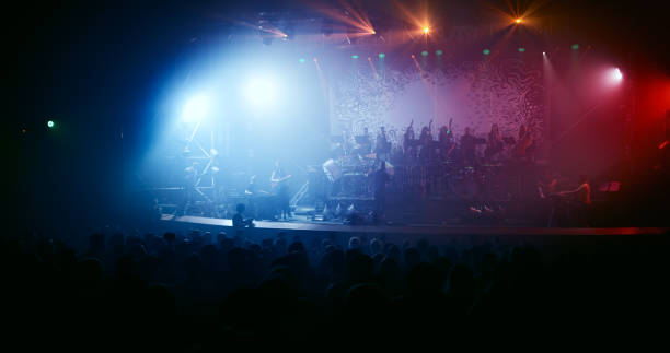 istock Guitarist performing on stage. Concert. 667340092