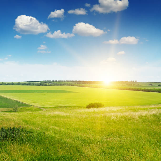 istock hilly terrain, spring field and sunrise on blue sky 667348570