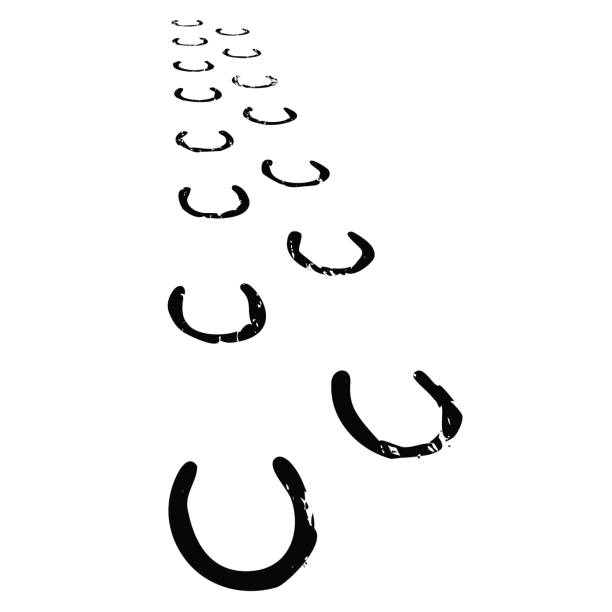 Horseshoe Walking Forward Grungy horse shoe prints walking forward in perspective hoof stock illustrations