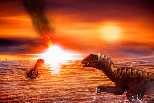 Figures of Troodons Two figures of dinosaurs Troodon, a reptile from the Campanian age of the Cretaceous period, technique of photoshop are placed in an imaginary seascape cretaceous photos stock pictures, royalty-free photos & images