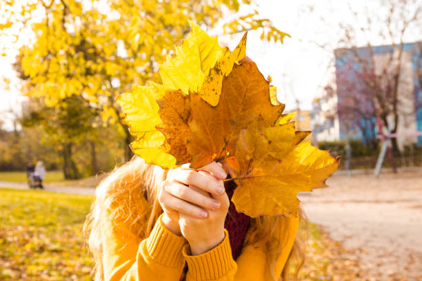 istock Young woman holding yellow tree leaves 667376478