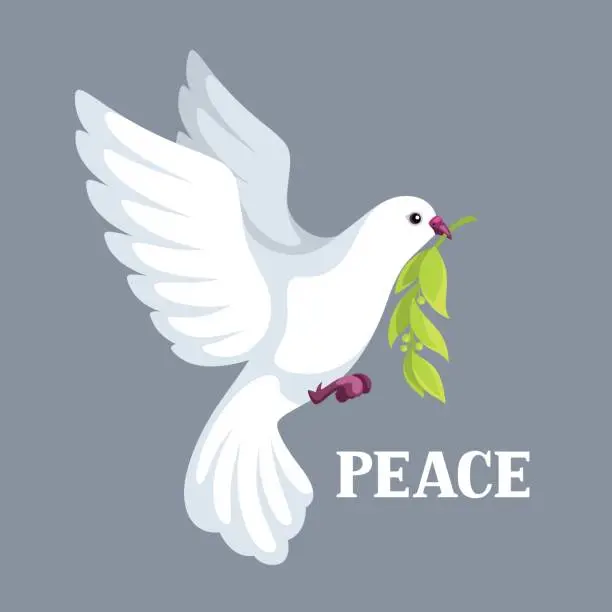 Vector illustration of White dove of peace bears olive branch