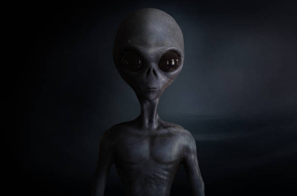 alien alien alien grey stock pictures, royalty-free photos & images