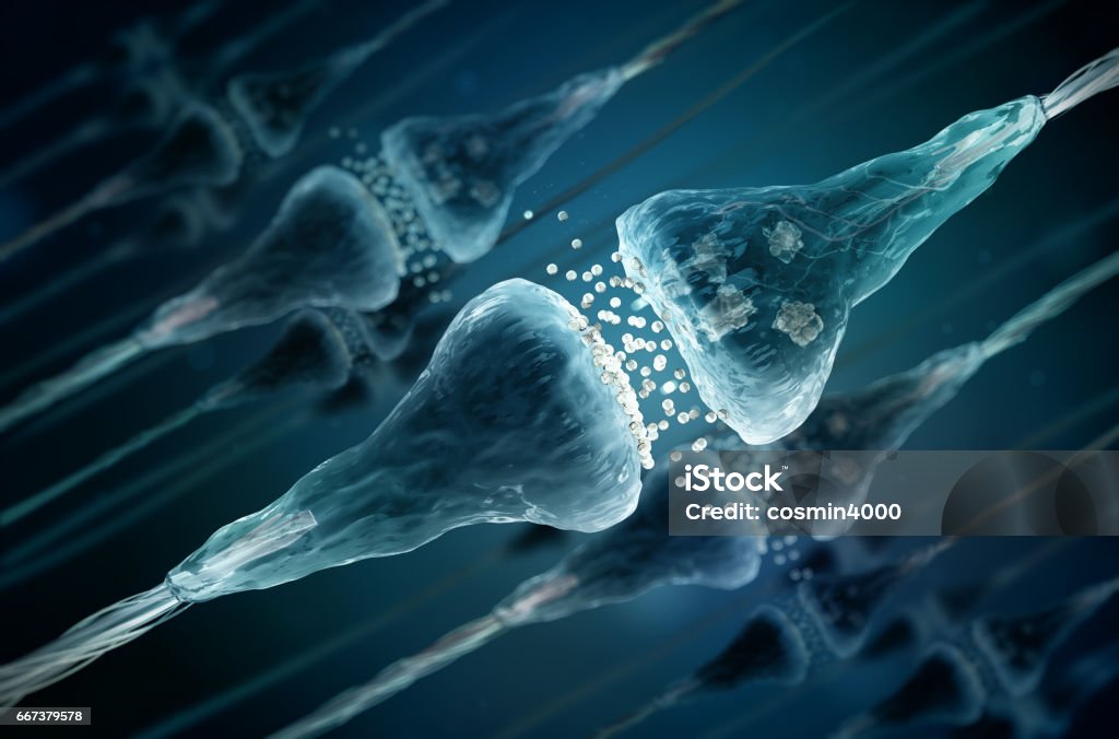 Células de sinapsis y neuronas que envían señales químicas eléctricas - Foto de stock de Neurotransmisor libre de derechos