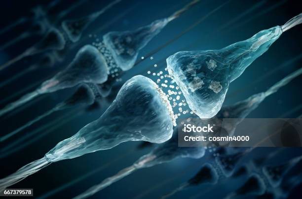 Células De Sinapsis Y Neuronas Que Envían Señales Químicas Eléctricas Foto de stock y más banco de imágenes de Neurotransmisor