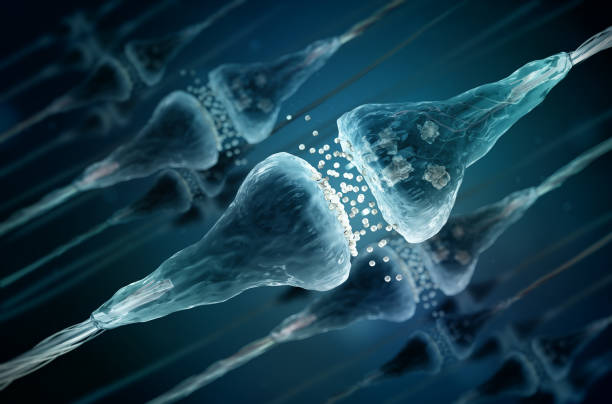 istock Synapse and Neuron cells sending electrical chemical signals 667379578