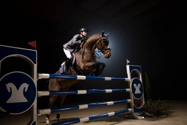 concours hippique de sauts - hurdle competition hurdling vitality photos et images de collection