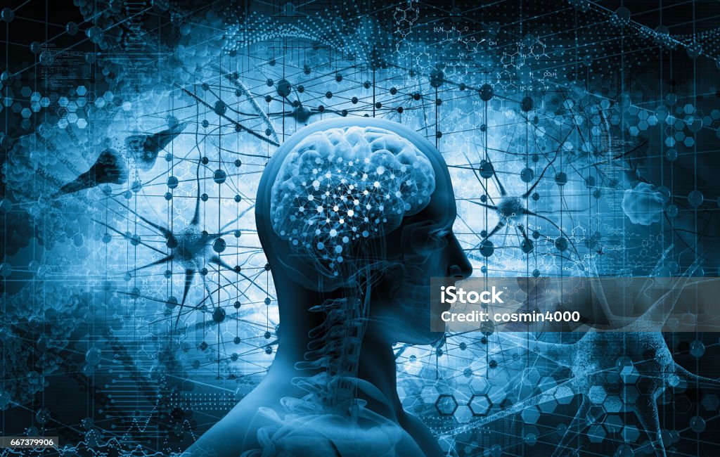 cerebro, concepto de pensamiento - Foto de stock de Cerebro humano libre de derechos
