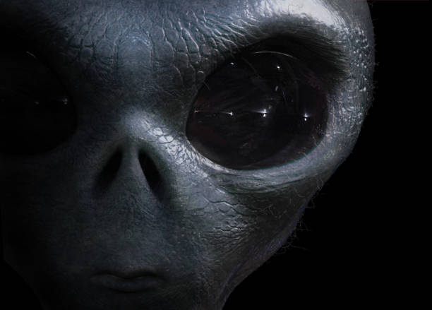 alien alien grey alien stock pictures, royalty-free photos & images