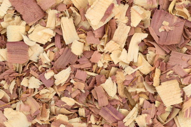 istock Close view of red cedar shavings 667385952