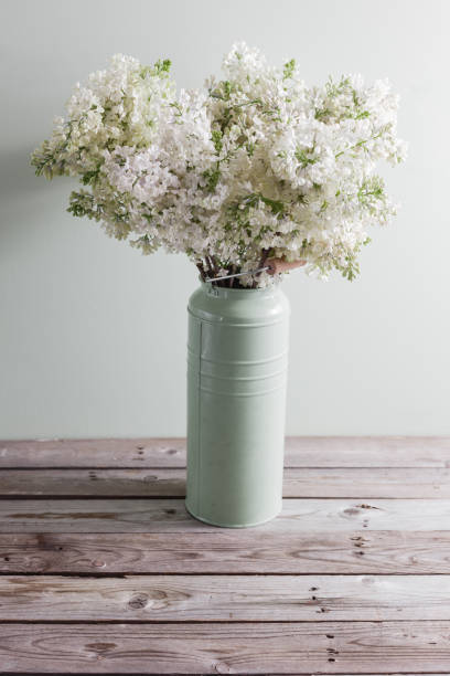 istock Lilac white Syringa flowers in vase. Spring background with white flowers in rustic Can on wooden table. 667391844