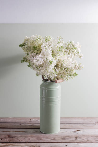 istock Lilac white Syringa flowers in vase. Spring background with white flowers in rustic Can on wooden table. 667394296
