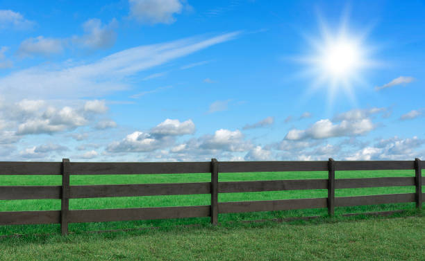 istock Farm. Field with grass and a fence. 667395022