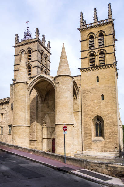 Montpellier: Montpellier Cathedral, properly the Cathedrale Saint-Pierre de Montpellier, a Roman Catholic cathedral and a national monument of France.