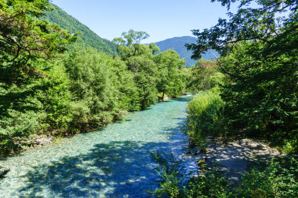 istock Azusa river, Kamikochi 667402462