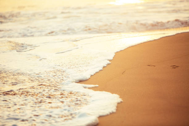 mousse de mer et sable - vague photos et images de collection