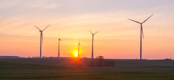 istock Windmills (wind turbines) in a field at sunrise 667410164