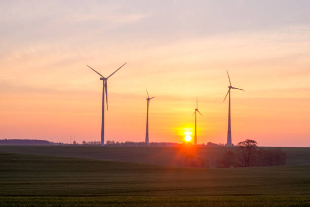 istock Windmills (wind turbines) in a field at sunrise 667410168