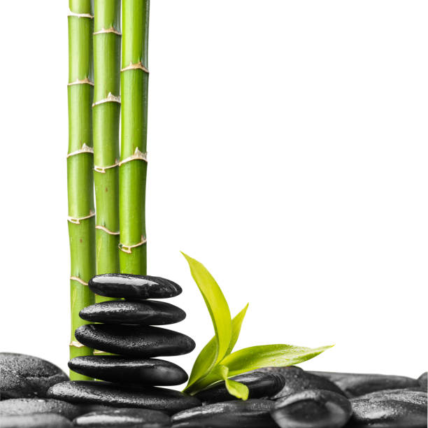 istock zen stones and bamboo on the white 667410350