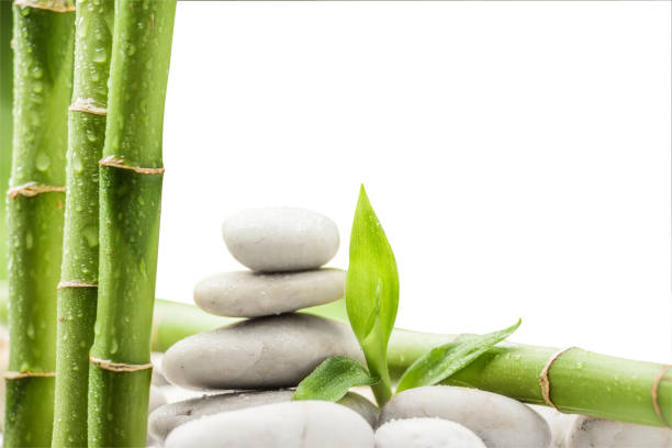 istock zen stones and bamboo on the white 667410356