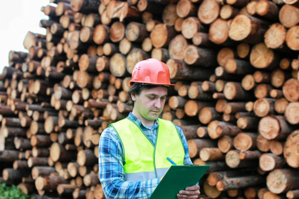 istock man in helmet worker wood lumber 667414760