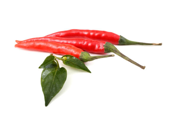 istock Red hot chili peppers and leaves 667415152