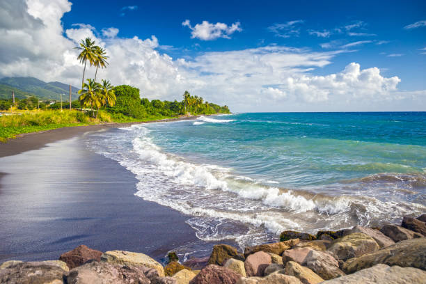 Beach on a St. Kitts island with black sand Beach on a St. Kitts island with black sand black sand stock pictures, royalty-free photos & images