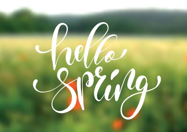 Hello spring handwriting lettering design on blurry blossom field landscape. Hello spring handwriting lettering design isolated on blurry blossom field landscape. Vector illustration. handwriting font not script stock illustrations