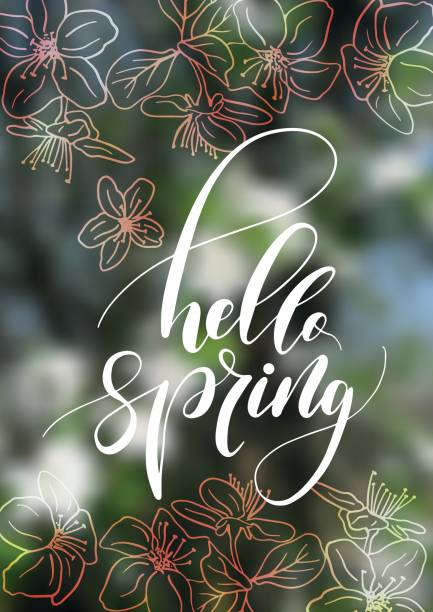 Hello Spring handwriting lettering design isolated on blurry cherry blossom Hello Spring handwriting lettering design isolated on blurry cherry blossom background. Vector illustration. handwriting font not script stock illustrations