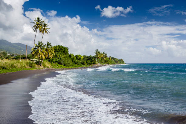 istock Beach on a St. Kitts island with black sand 667431114