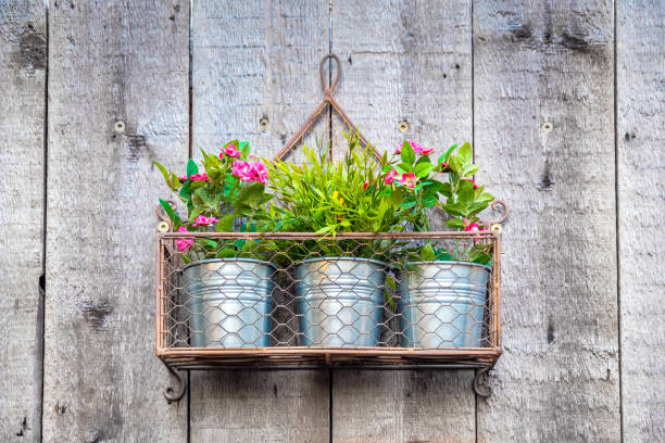 Flowers hanging in metallic pots