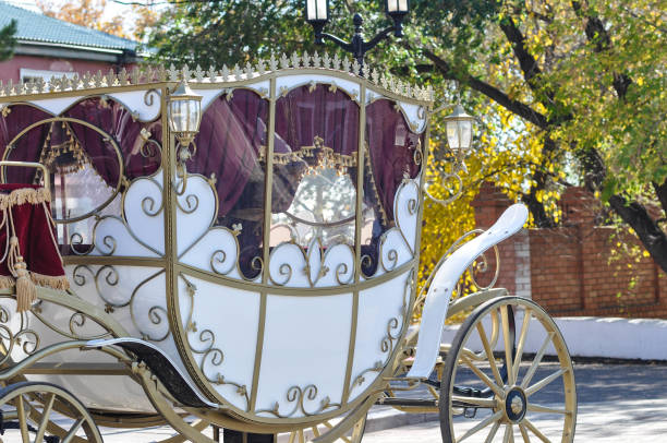 istock Wedding carriage for bride and groom 667432164