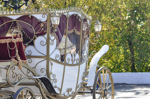 Wedding carriage to transport the bride and groom