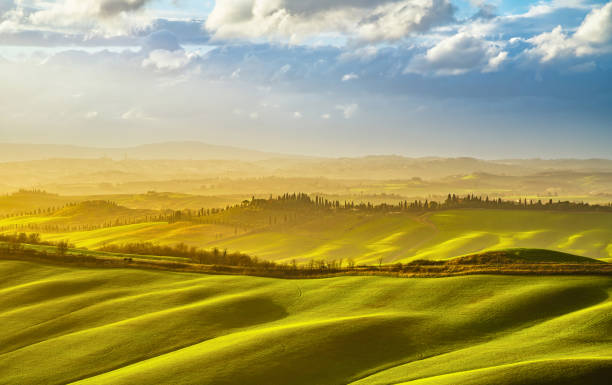 istock Tuscany misty panorama at sunset, rolling hills, fields, meadow. Italy 667438566